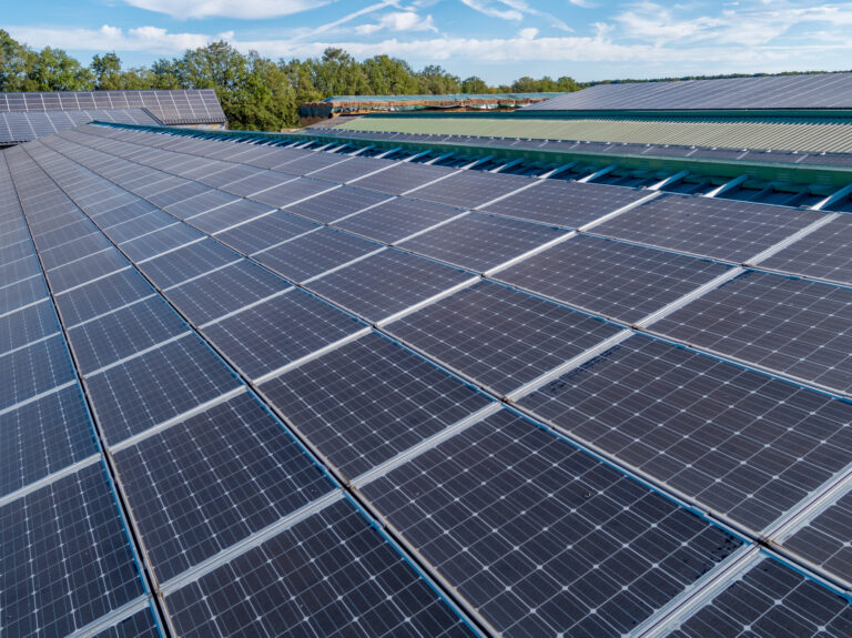 Un Industriel Breton Passe Du Gaz Lautoconsommation Solaire Pv