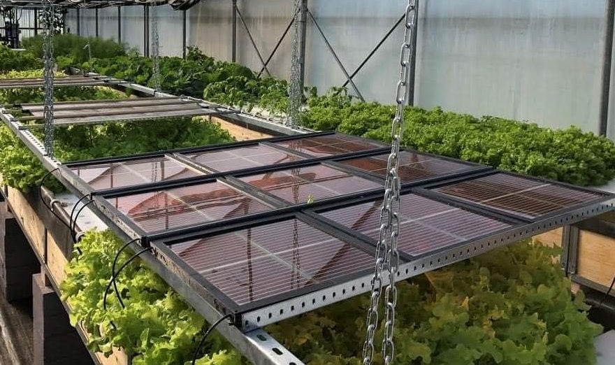 Panneau solaire pour serre jardin au meilleur prix